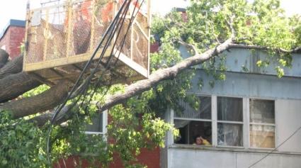 Workers remove a huge tree that came down on an apartment in central Montreal because of high winds and rain from remnants of Hurricane Irene, on Monday Aug. 29, 2011. [Agencies] 