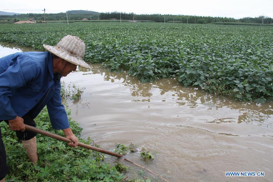 A farmer is seen in flooded farmland in Zhangzhuang Township of Linyi, east China's Shandong Province, Aug. 29, 2011. Heavy rainfall hit southern part of the province recently. About 2,000 residents and 53,333 hectares of farmland were affected by the rain-triggered flood. [Xinhua]