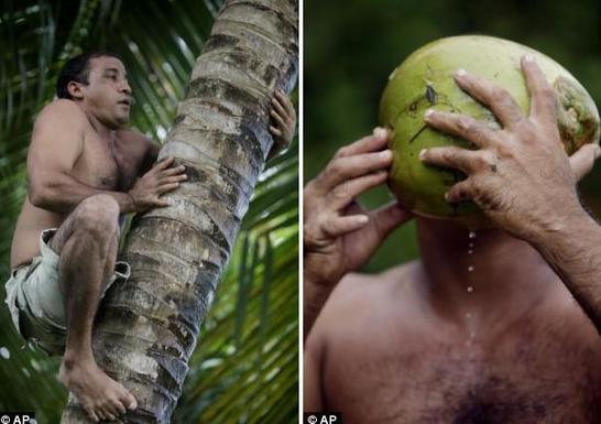 Proud: Hernandez calls his extra digits a blessing, saying they set him apart and enable him to make a living by scrambling up palm trees to cut coconuts and posing for photographs. [Agencies]