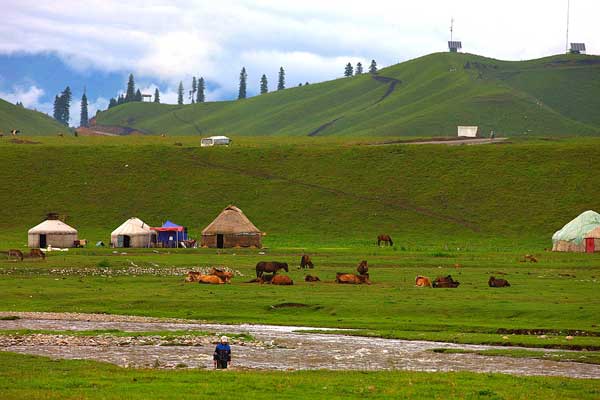 Nomads of the Kazak ethnic minority pasture on the grassland. [Photo:CRIENGLISH.com/Huang Wenhua] 