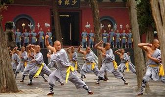 Martial art schools face declining business