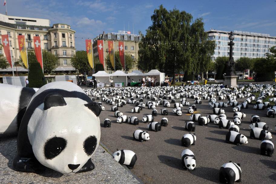Some of 1600 papier maches pandas was set up on a place by the lake in Geneva by World Wildlife Fund members to celebrate the 50th anniversary of the conservation organization. 
