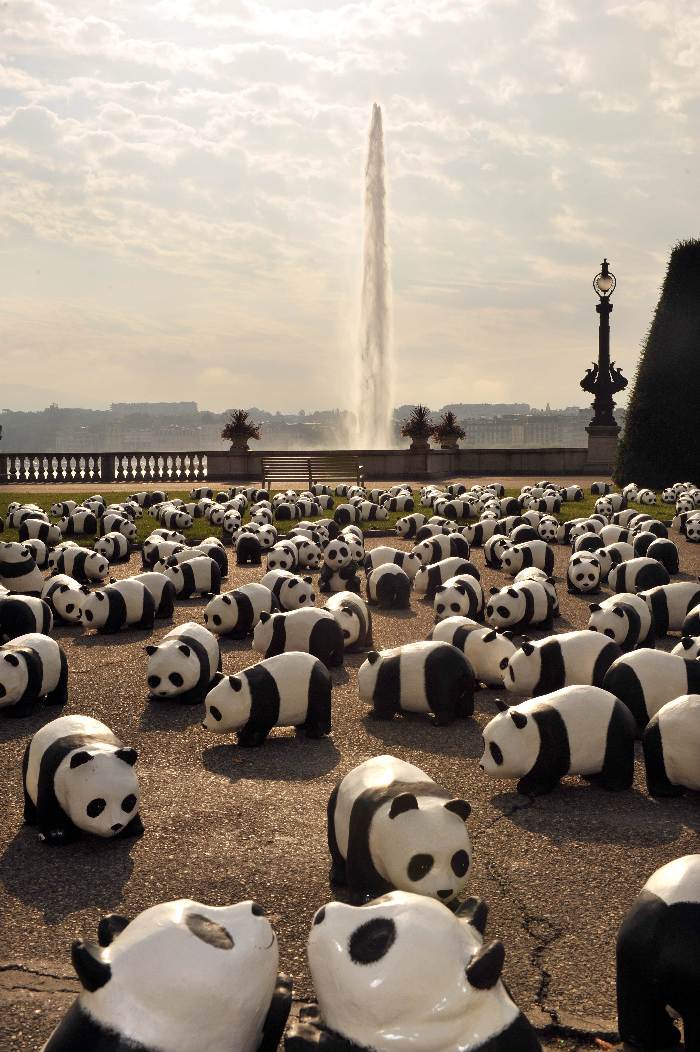 Some of 1600 papier maches pandas was set up on a place by the lake in Geneva by World Wildlife Fund members to celebrate the 50th anniversary of the conservation organization. [Xinhua]