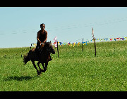 Located in northeastern Inner Mongolia, Hulunbuir Grassland is considered to be the 'most unsullied grassland' in China. Named after the Hulun and Buir lakes, the grassland features the beautiful scenery of vast grassland, forests, rivers and lakes, as well as the unique custom of the Mongolian ethnic group.[Panht/bbs.fengniao]