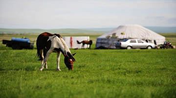 A getaway in Hulunbuir Grassland