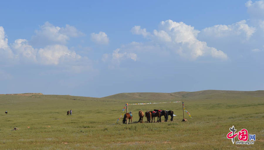 Xilinguole National Nature Reserve lies in the boundaries of Xilinguole City in the Inner Mongolia Autonomous Region. Covering a total area of 10,786 square kilometers, the reserve was established in 1985 as the first grassland nature reserve in China. [Photo by Corey Cooper/China.org.cn]