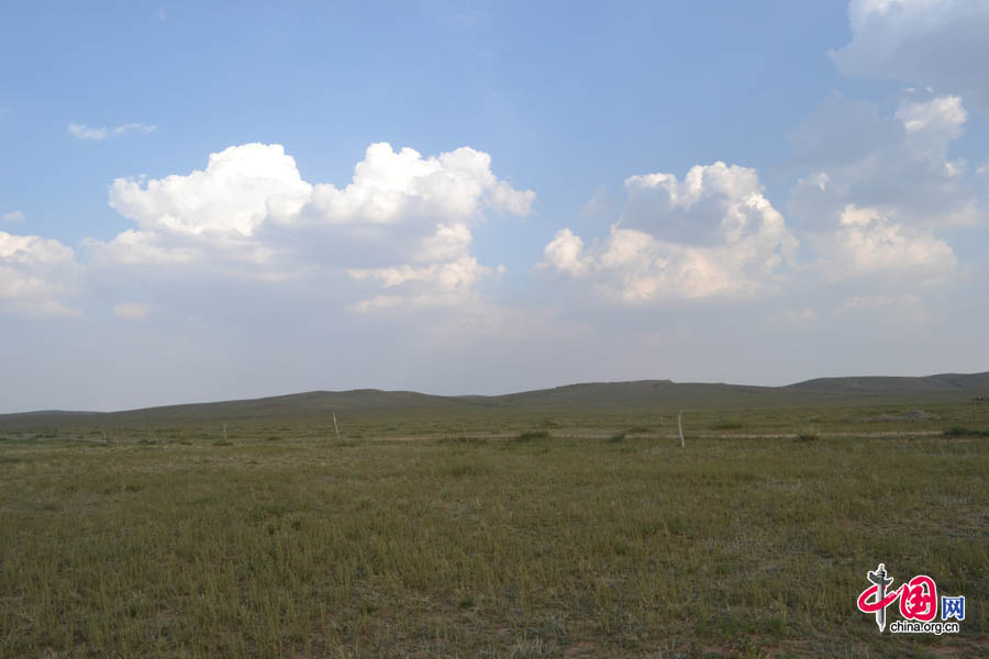 Xilinguole National Nature Reserve lies in the boundaries of Xilinguole City in the Inner Mongolia Autonomous Region. Covering a total area of 10,786 square kilometers, the reserve was established in 1985 as the first grassland nature reserve in China. [Photo by Corey Cooper/China.org.cn]