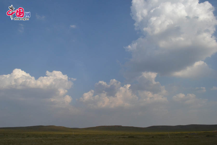 Xilinguole National Nature Reserve lies in the boundaries of Xilinguole City in the Inner Mongolia Autonomous Region. Covering a total area of 10,786 square kilometers, the reserve was established in 1985 as the first grassland nature reserve in China. [Photo by Corey Cooper/China.org.cn]