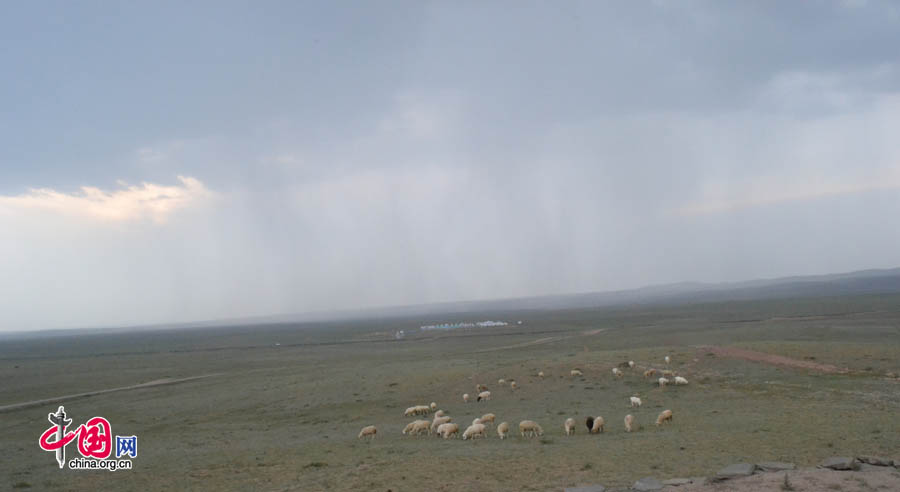 Xilinguole National Nature Reserve lies in the boundaries of Xilinguole City in the Inner Mongolia Autonomous Region. Covering a total area of 10,786 square kilometers, the reserve was established in 1985 as the first grassland nature reserve in China. [Photo by Corey Cooper/China.org.cn]