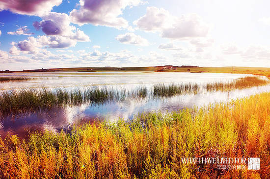 The grasslands of Manzhouli under the golden glow of sunset.