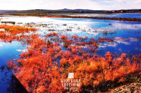 The grasslands show signs of early autumn as the grass changes color.