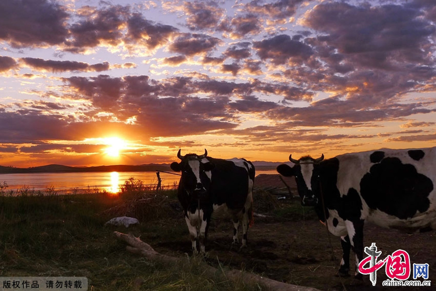 Guyuan County is located in the Bashang area, north of Hebei Province, about 300 km from Beijing. With geographic characteristics and suitable climate, it is a popular summer resort since the Liao Dynasty (907-1125).