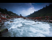 Hongshitan, or Red Stone Land, is a scenic area of Hailuogou, which is famous for its red color rocks along the creek. Hailuogou is one of Sichuan's lesser-known attractions, about 300 kilometers southwest of Chengdu. It offers a panoramic vista that includes the snow-covered 7,556-meter-high peak of Mount Konka, a rare low-altitude glacier, silent Tibetan prayer stone altars, beautiful trees and lovely animals. [Dongtiandexue01/bbs.fengniao]