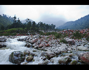 Hongshitan, or Red Stone Land, is a scenic area of Hailuogou, which is famous for its red color rocks along the creek. Hailuogou is one of Sichuan's lesser-known attractions, about 300 kilometers southwest of Chengdu. It offers a panoramic vista that includes the snow-covered 7,556-meter-high peak of Mount Konka, a rare low-altitude glacier, silent Tibetan prayer stone altars, beautiful trees and lovely animals. [Dongtiandexue01/bbs.fengniao]