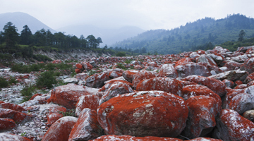 A unique scenery of Hongshitan