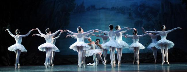 Swan Lake 