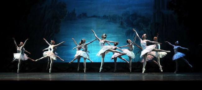 Swan Lake 