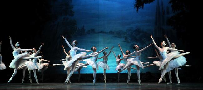 Swan Lake 