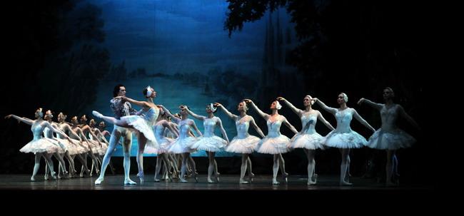 Swan Lake 