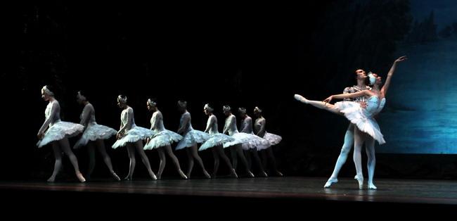 Swan Lake 