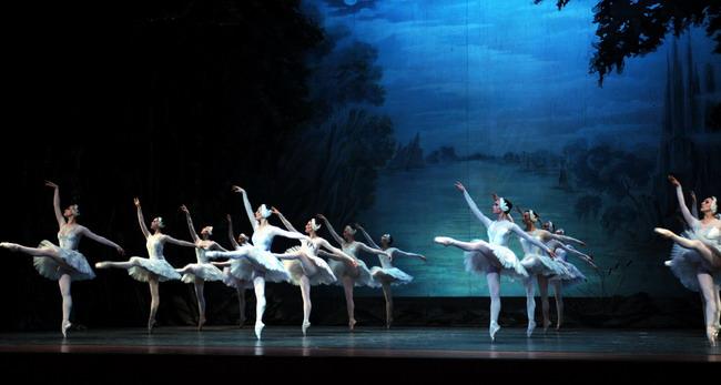 Swan Lake 