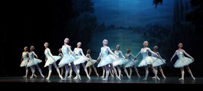 Swan Lake 