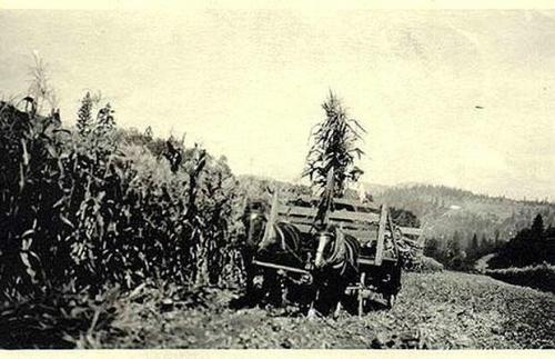 Photo taken in U.S. in 1920s.[people.com]