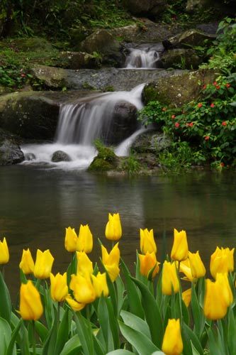 The tranquil beauty of one of Taoyuan County's forest reserves.