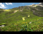 Balang Mountain is also named Banlan Mountain in the locals. But in Tibetan language, it is called Balangla, means 'the mountain of strange willows'. Balang Mountain is covered with snow all the year round. It stands 5,040 meters above sea level between the Wolong Nature Reserve and Rilong Town of Xiaojin County. It offers very breathtaking mountain landscape and suitable for climbing all the year. [Hongfuyang/bbs.fengniao]