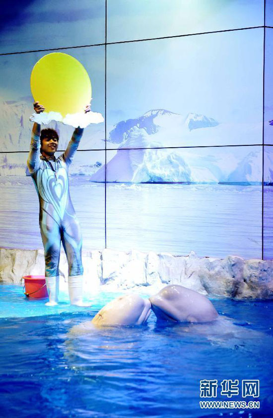 On Sept. 8, two white whales kiss in front the 'moon' held by their trainer. On the eve of the Mid-Autumn Day, polar white whales and their trainer jointly staged a performance named 'appreciate the full moon' to welcome the traditional Chinese festival at an aquarium in Harbin.