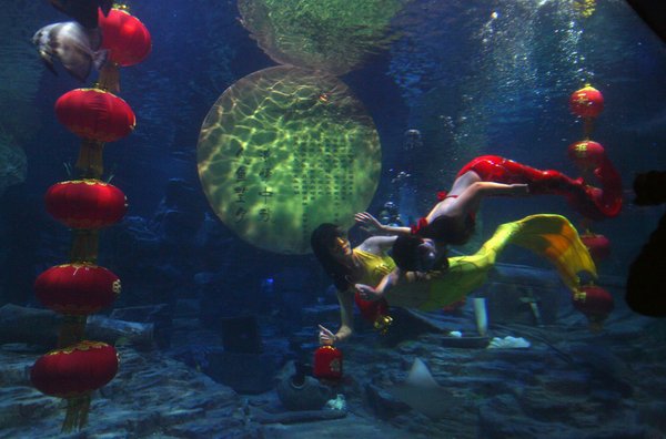 Mermaids swim around the 'full moon' and red lanterns to greet the upcoming Mid-Autumn Festival in Donghu Ocean World of Wuhan, capital of Central China's Hubei province, Sep.9, 2011. [CFP Photo]