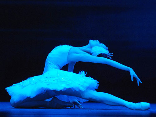 Swan Lake 