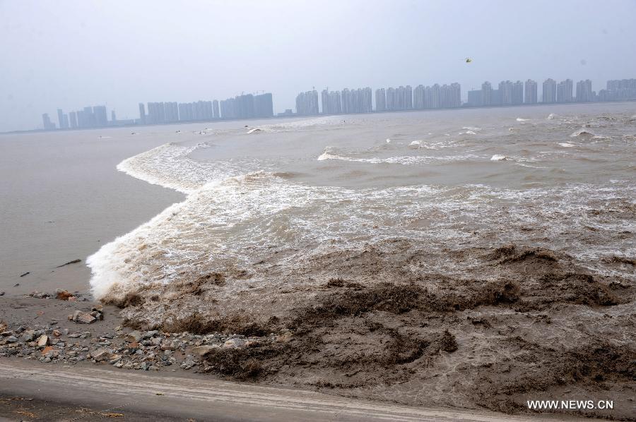 Roaring waves surge forward along the Qiantang River in Hangzhou, east China's Zhejiang Province, Sept. 12, 2011. Tens of thousands of tourists rush to the Qiantang River to watch the magnificent tidal bore, which usually occurs around the Mid-Autumn Festival (the 15th day of the eighth lunar month). [Xinhua]