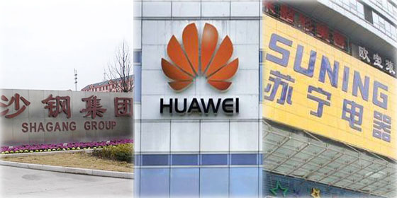 Top 10 private companies in China 2011
