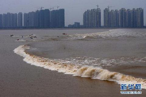 In Haining, Zhejiang province the magnificent Qiantang tidal bores that have lasted more than two weeks will soon reach their climax on the 18th day of the eight lunar month of this year.