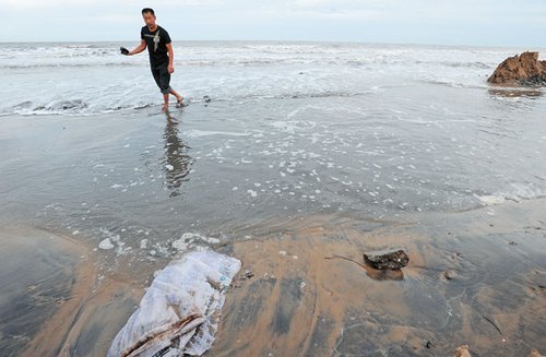 Dead scallops and shrimp in the area near the leak indicate that the pollution may be greater than reported, according to an energy expert. [sohu.com] 