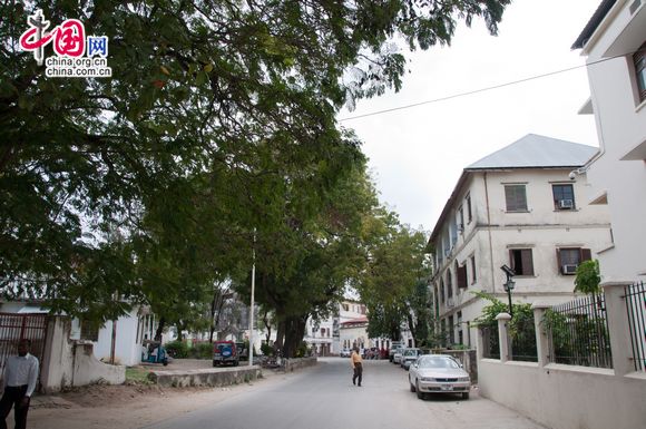 The neighbourhood of China Medical Team's residence in Zanzibar. [Maverick Chen / China.org.cn]