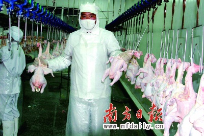 In 2009, the Chinese Ministry of Commerce initiated anti-dumping and countervailing investigations into U.S. imports of chicken broiler products, various cuts of chicken.