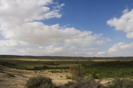 More than 12 million hectares of productive land are lost due to desertification every year in Europe. [File photo] 