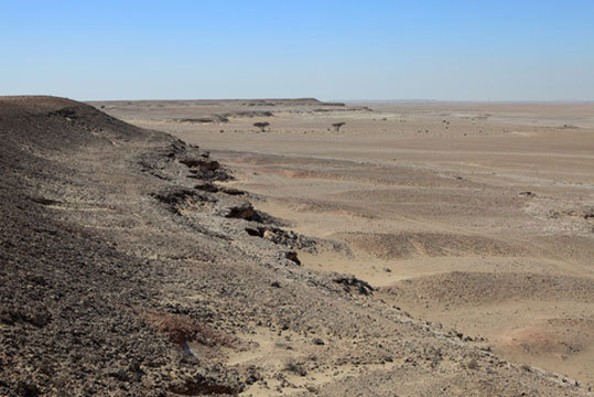 The impact of resisting desertification can help in a wide variety of development areas, according to Ban Ki-moon. [un.org] 