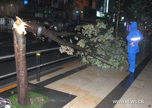 A tree planted along the street is tore down in the strong wind in Tokyo, Japan, on Sept. 21, 2011. Typhoon Roke landed on Japan's largest island of Honshu Wednesday afternoon, after it had already killed at least six people, authorities said. (Xinhua/kenichiro Seki) (srb) 