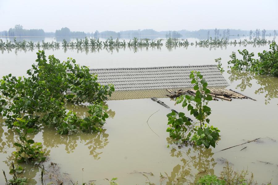 CHINA-HUBEI-XIANTAO-HANJIANG RIVER-FLOOD (CN)