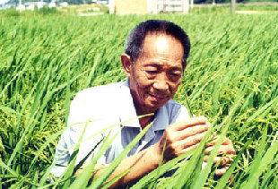 Yuan Longping, expert in hybrid rice.