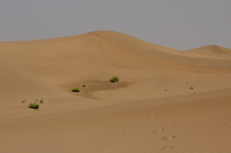 Shapotou Desert, the capital of sand... (Image: Radio86)