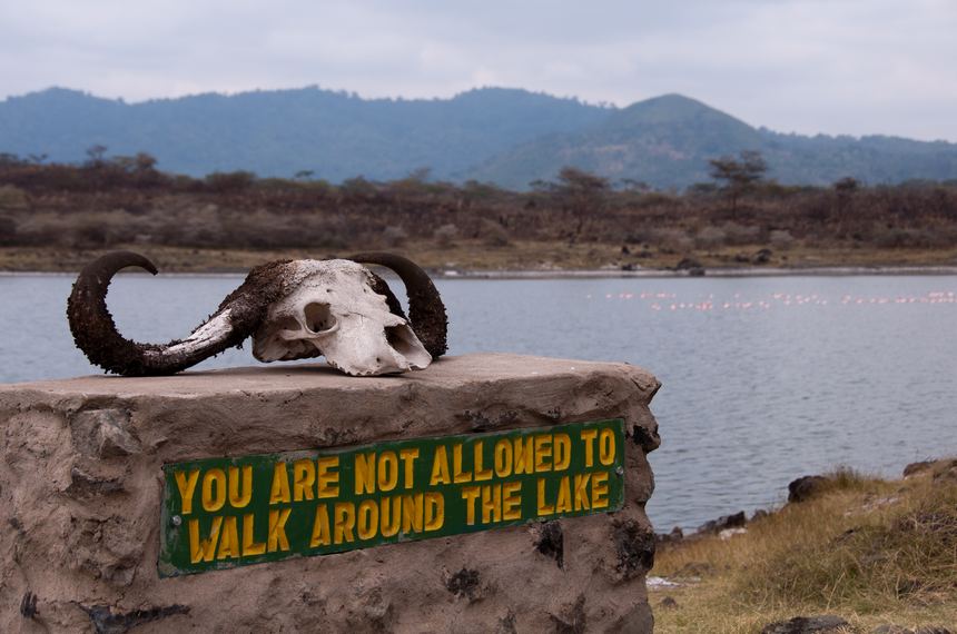 A sign that notify the visitors to the park not to walk around a lake in Arusha National Park, as not to disturb the flamingos in the distance. [Maverick Chen / China.org.cn]