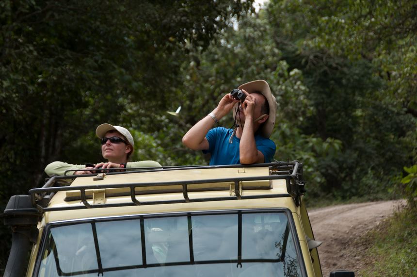 The gray langur attracted two observers to stop the vehicle and look at them through telescopes. [Maverick Chen / China.org.cn]