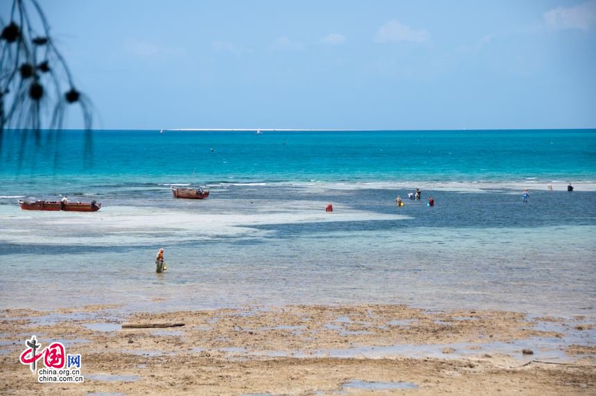 A natural beach of Zanzibar, a world renowned tourism resort. Due to the fund lacking for development, the beach has fortunately been preserved to its original state, which makes it more appealing to tourists from more-developed parts of the world. [Maverick Chen / China.org.cn]