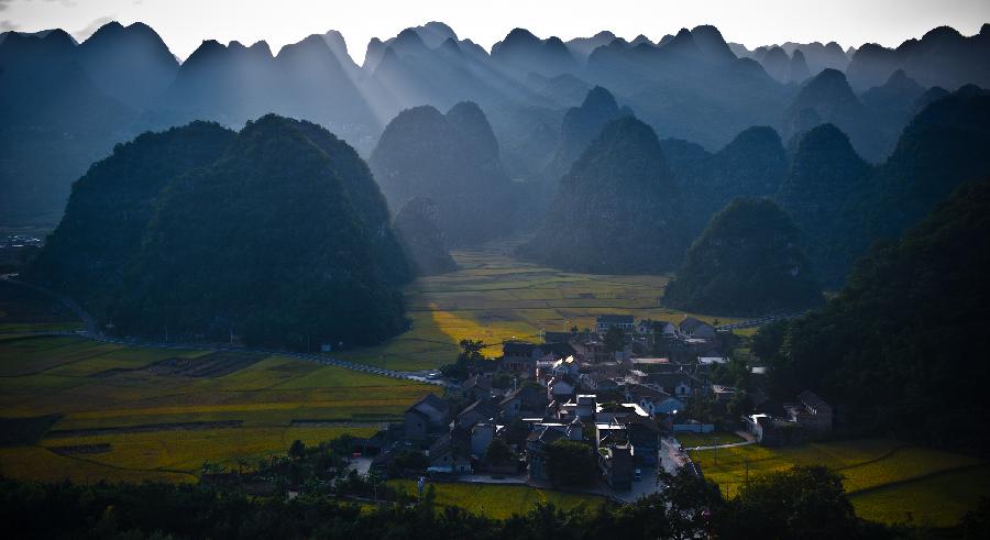 Wan Fenglin Peaks Forest at sunset