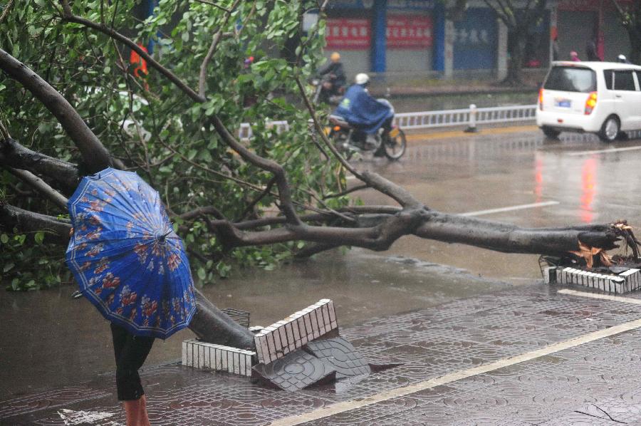 #CHINA-HAINAN-QIONGHAI-TYPHOON NESAT (CN)