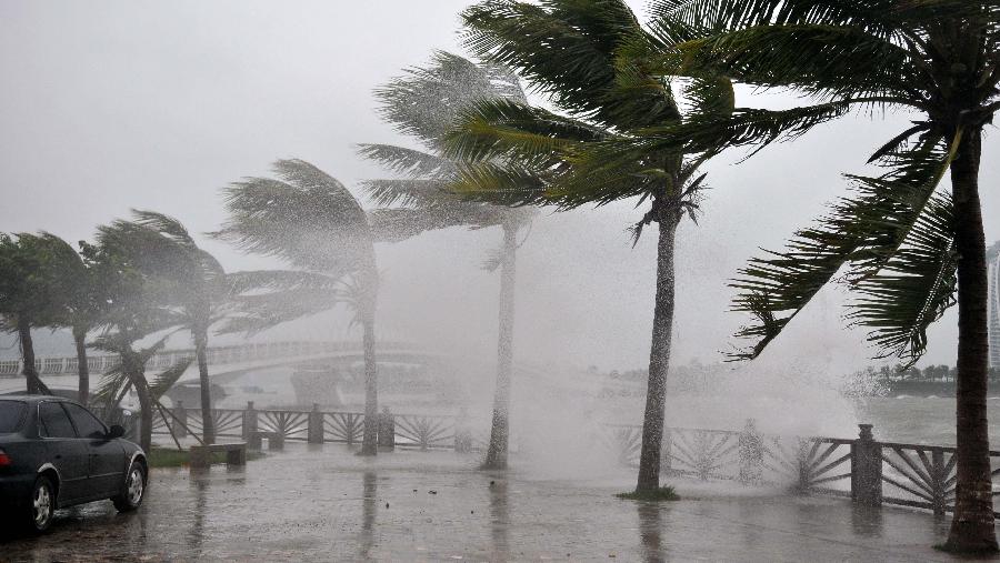 Photo taken on Sept. 29, 2011 shows strong wind blows trees in Sanya, south China's Hainan Province. Typhoon Nesat heads towards south China and is moving at an average wind speed of 20 km per hour toward the west coast of China's Guangdong Province.